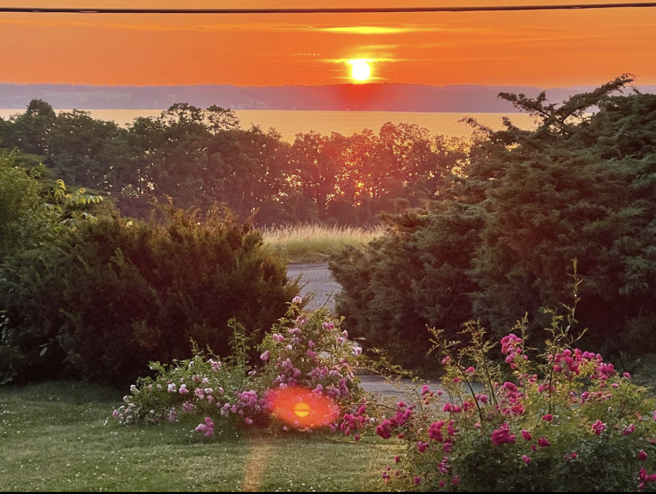 Coastal Bluff Garden